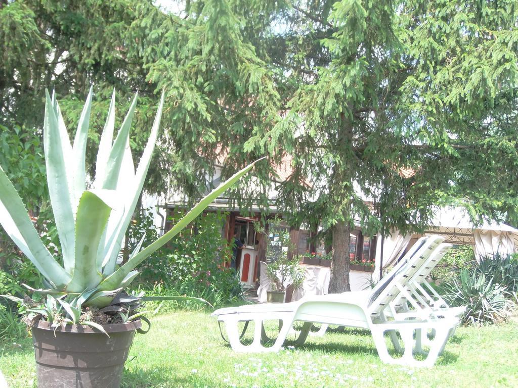 Hotel Viktoria Balatonalmádi Exterior foto